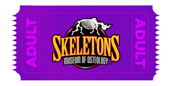Online Ticket Sale - Adult Admission
