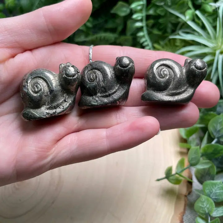 Crystal Snail