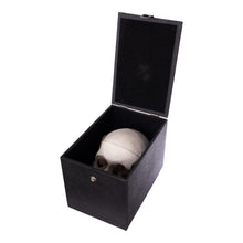 Load image into Gallery viewer, Real Human Skull with Carrying Case
