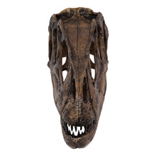 Load image into Gallery viewer, Replica Allosaurus Skull (1:4 Scale)
