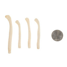 Load image into Gallery viewer, Real Bag-O-River Otter Baculum
