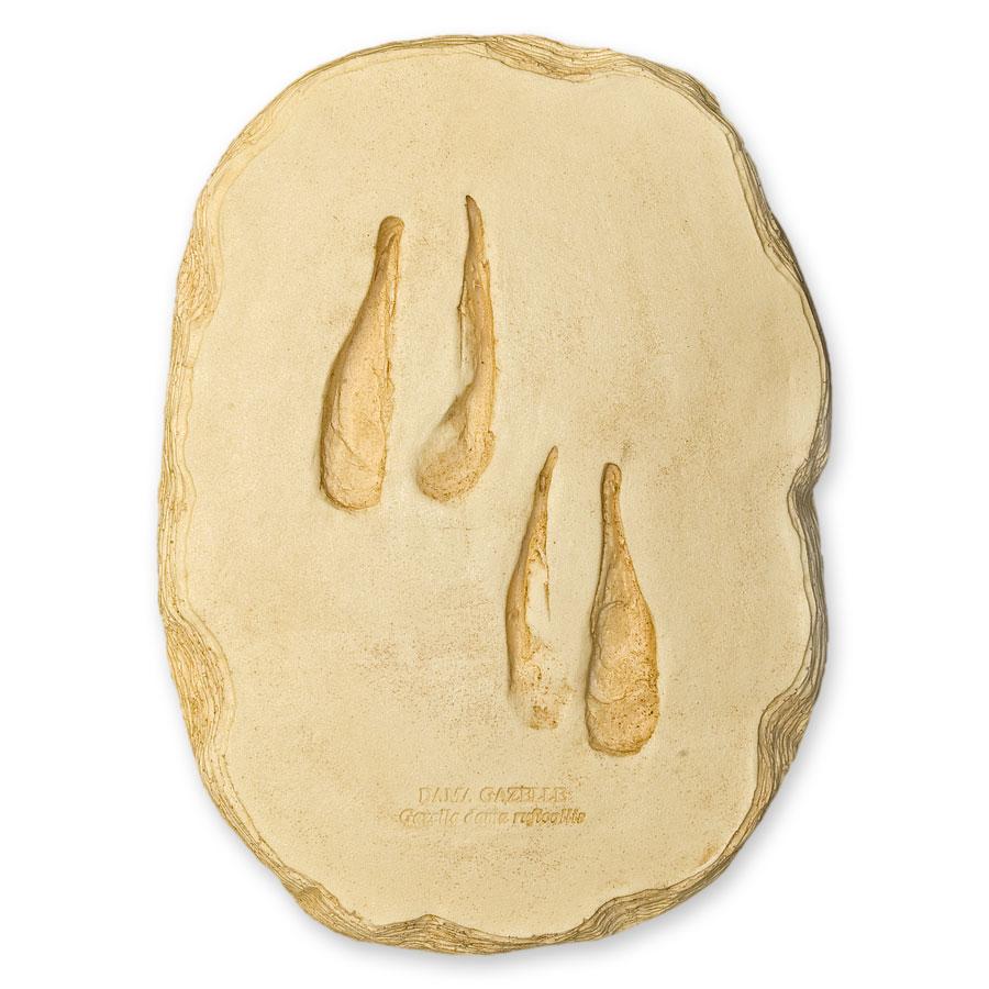 Replica Dama Gazelle Footprint