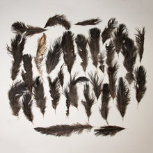 Load image into Gallery viewer, Real Bag-O-Ostrich Feathers
