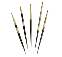 Load image into Gallery viewer, Real African Porcupine Quill - (Set - Thick)
